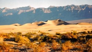 SAND DUNES